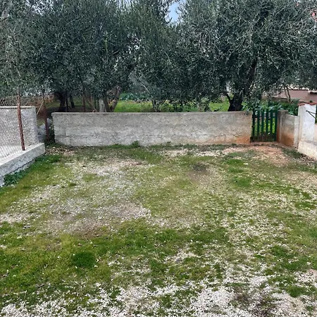 Apartmán Punta -